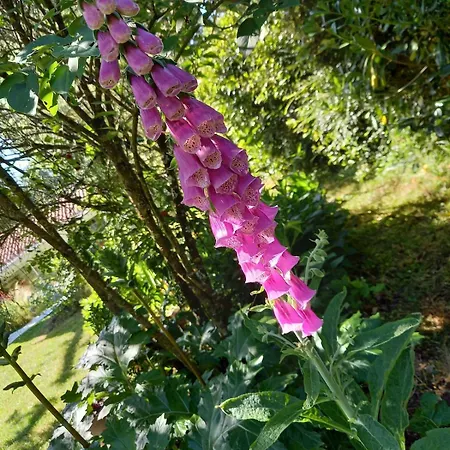 Apartment Chez Juliette Countryside And Sea Near Pornic Chauve