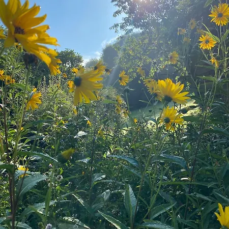 Chez Juliette Countryside And Sea Near Pornic *