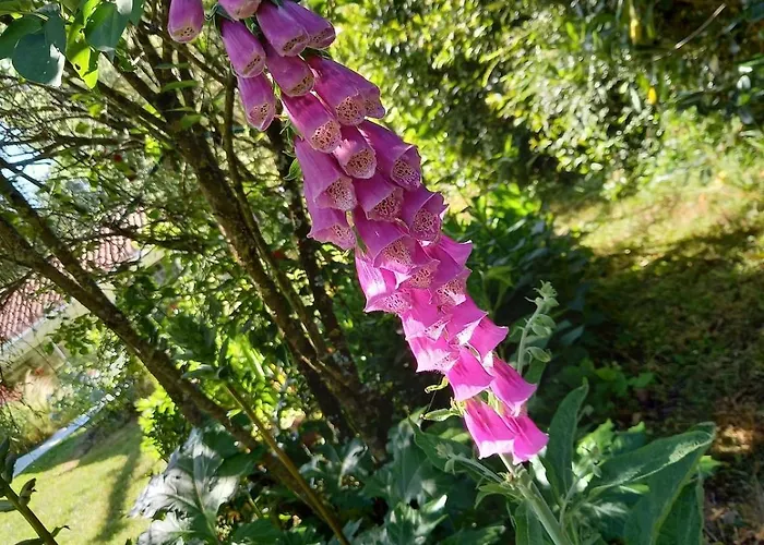 Apartman Chez Juliette Countryside And Sea Near Pornic Chauvé