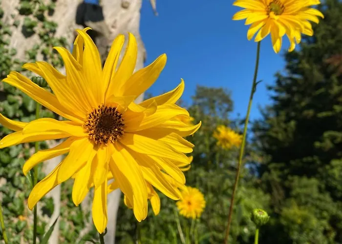 Chez Juliette Countryside And Sea Near Pornic Apartman Chauvé