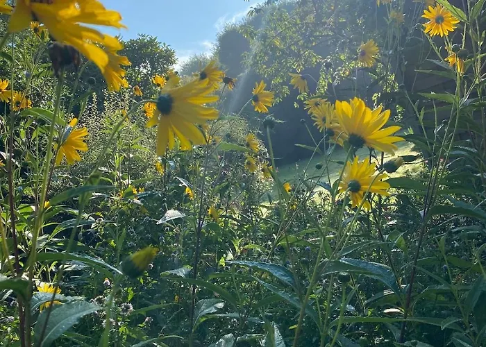 Chez Juliette Countryside And Sea Near Pornic *